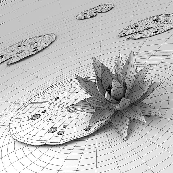 Water lily 3D model_5