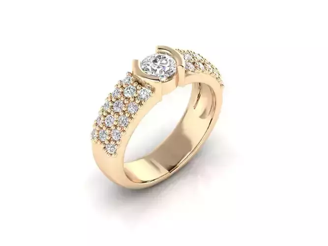 Ring 13 3D print model