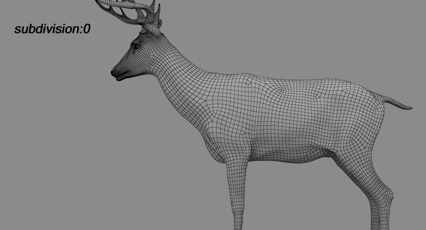 Deer fur rigged 3D model 3D model_14