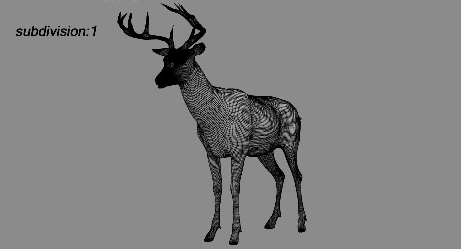 Deer fur rigged 3D model 3D model_17
