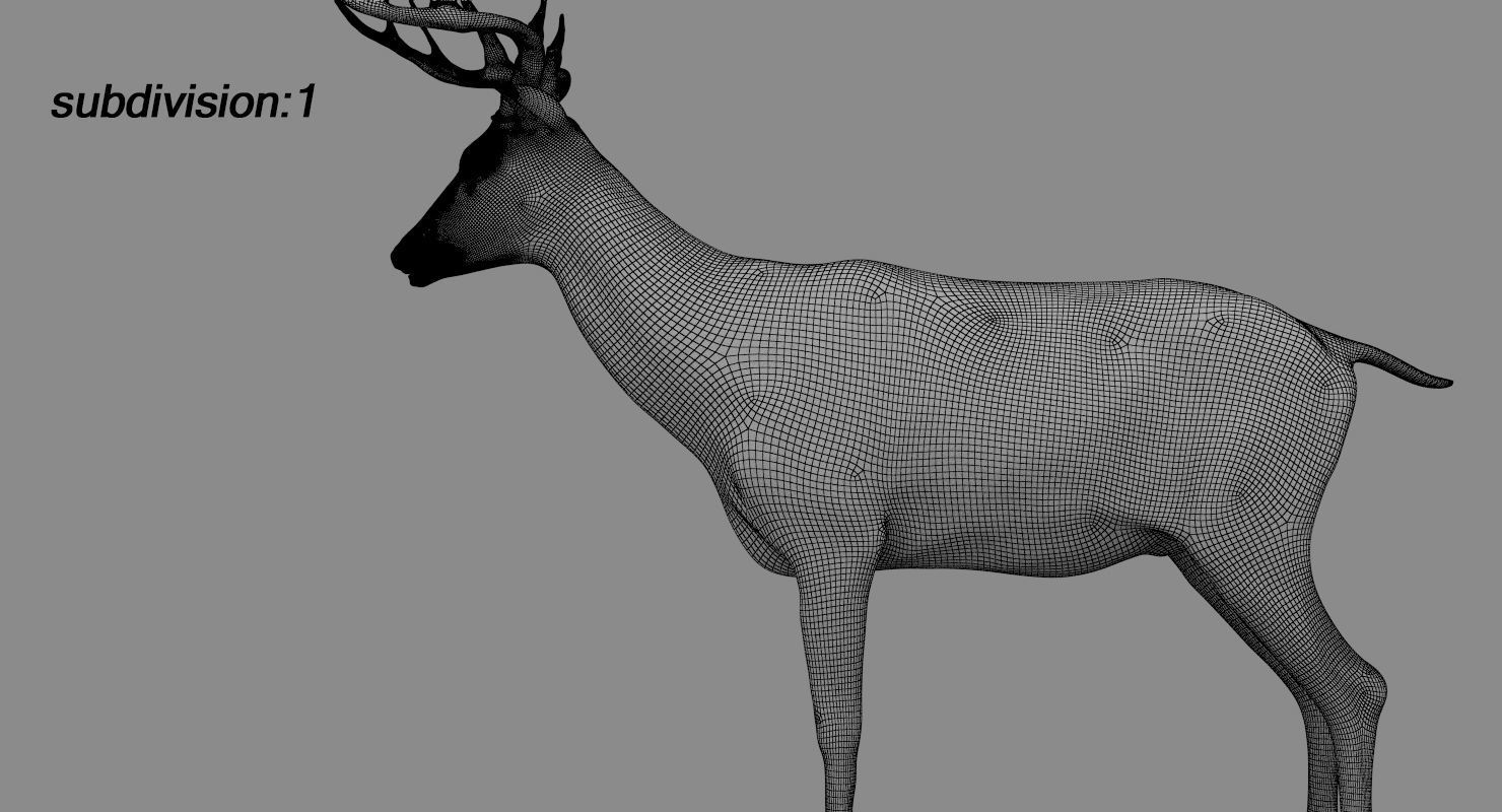 Deer fur rigged 3D model 3D model_15