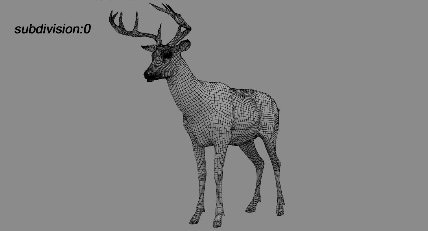 Deer fur rigged 3D model 3D model_16