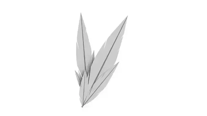 Feather leaf