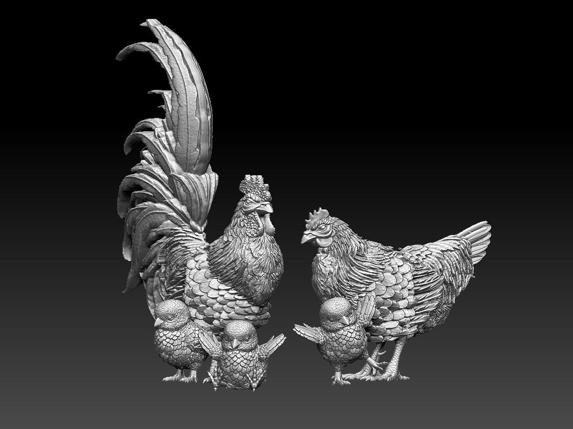 hen cock chick 3D print model_38