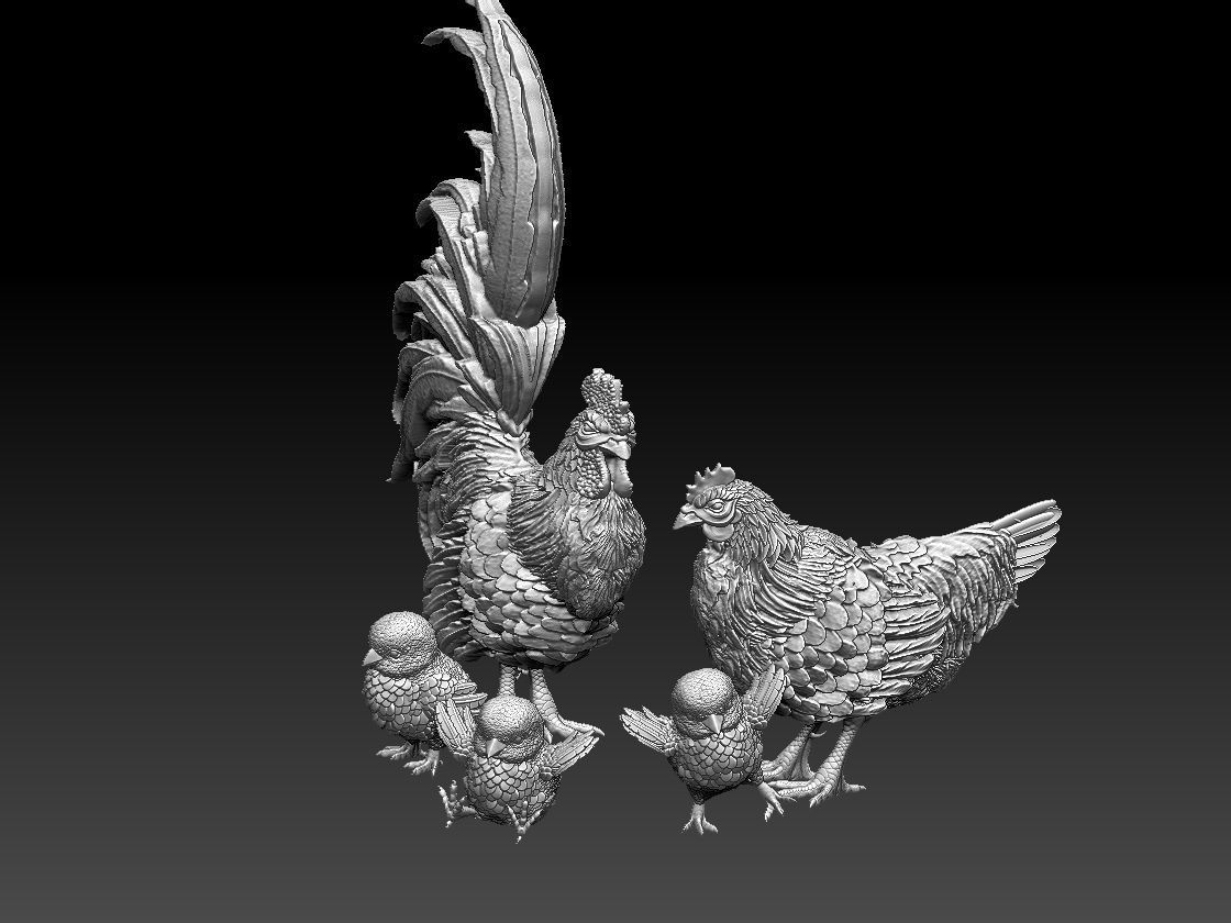 hen cock chick 3D print model_6