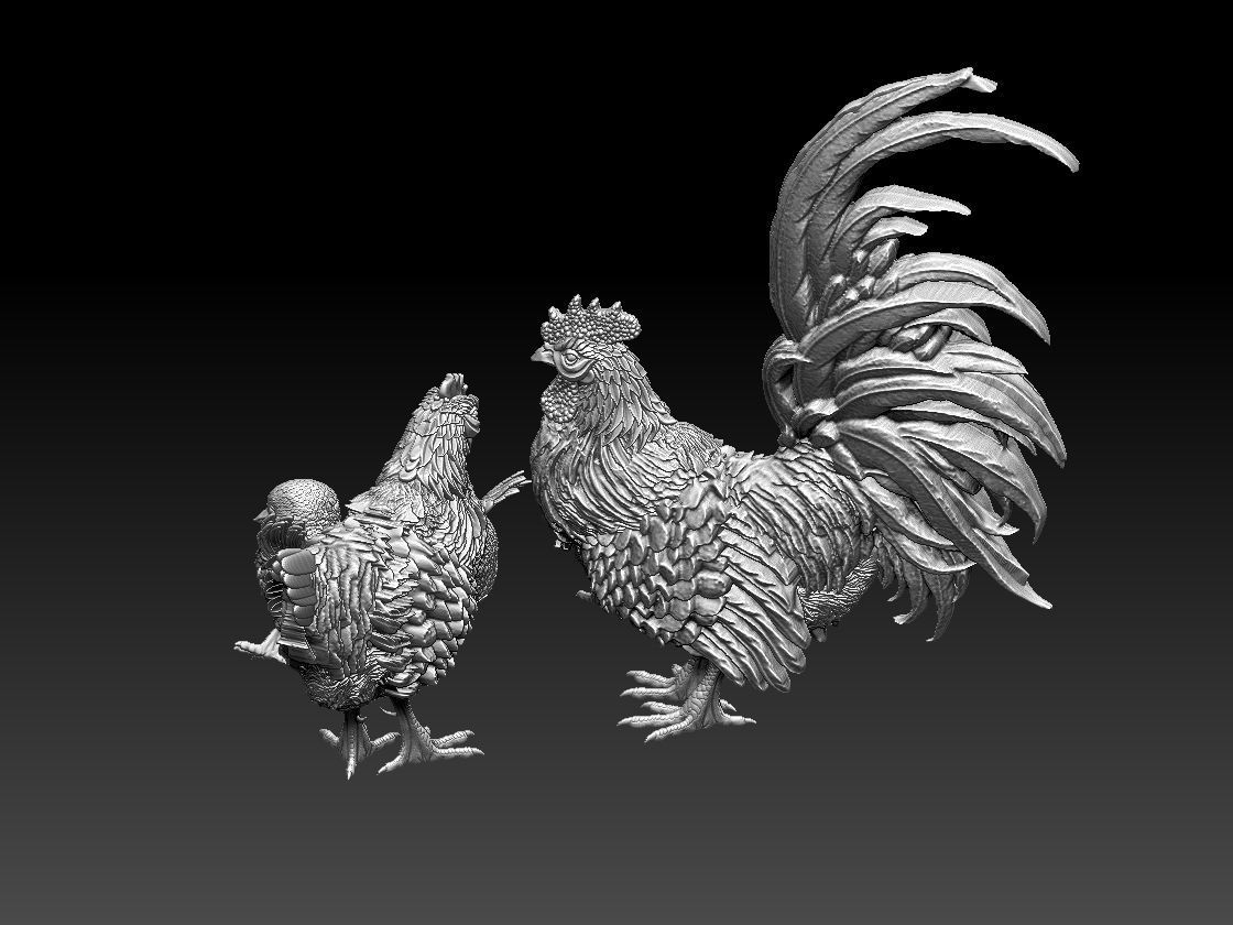 hen cock chick 3D print model_12