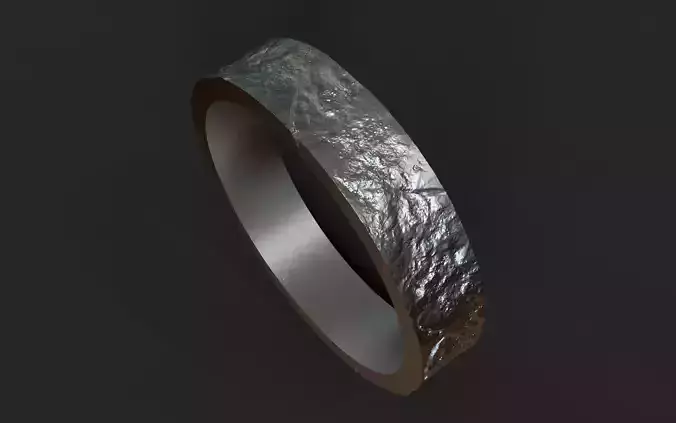 Rustic Ring 3D print model