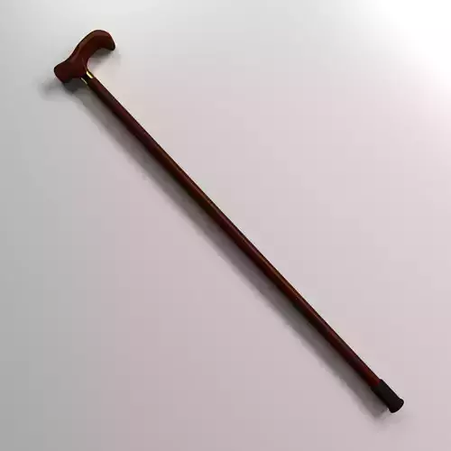 Walking Canes 3D model
