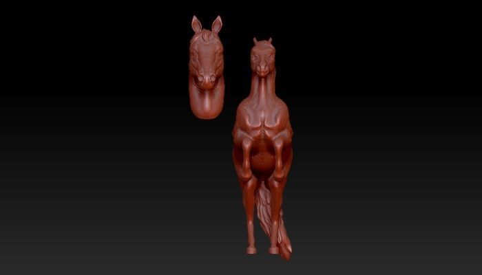 horse riding stallion head statue 3D model