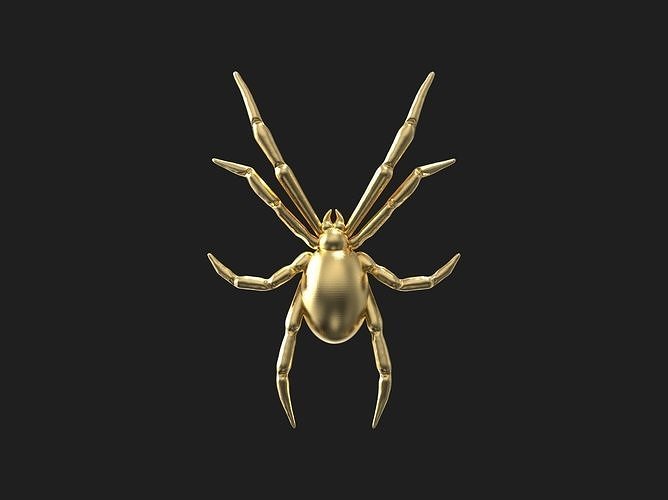Spider relief 3D print model 3D print model