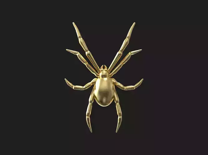Spider relief 3D print model 3D print model