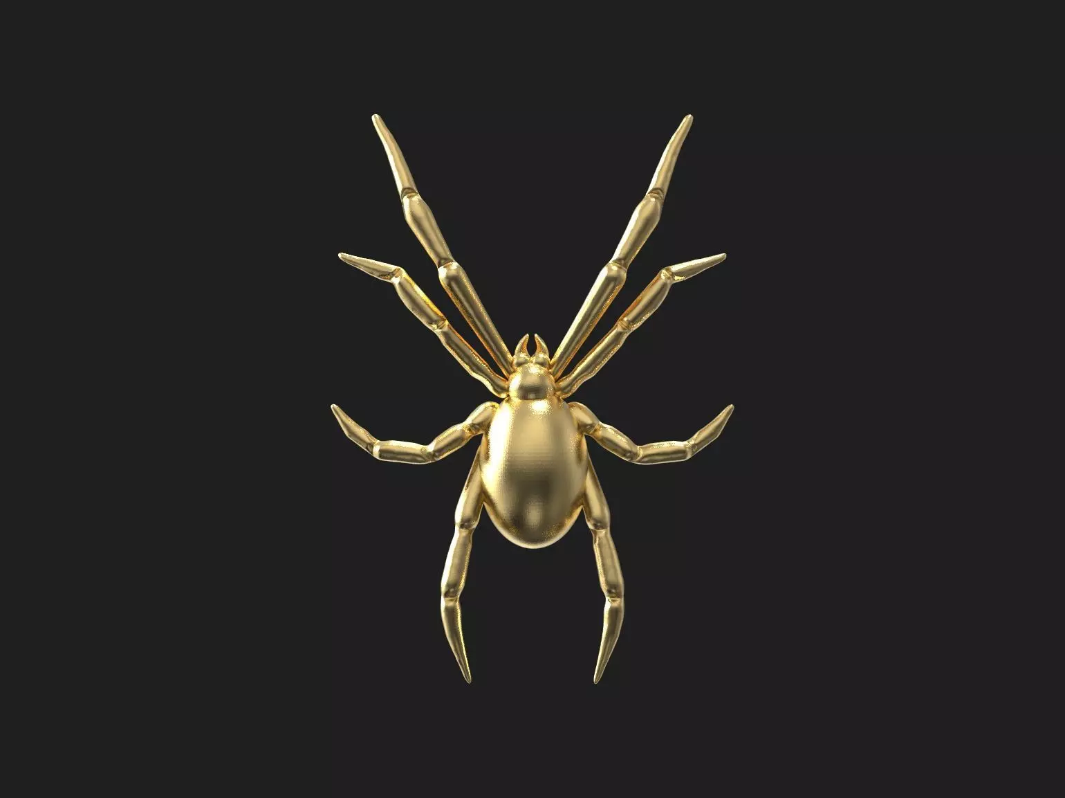 Spider relief 3D print model 3D print model_0