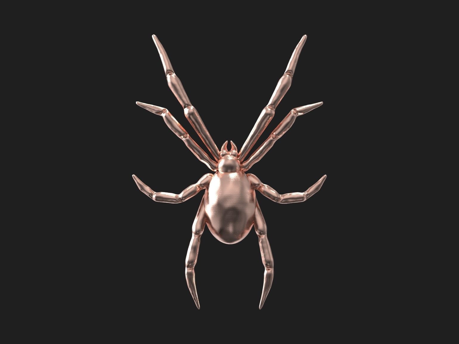 Spider relief 3D print model 3D print model_5