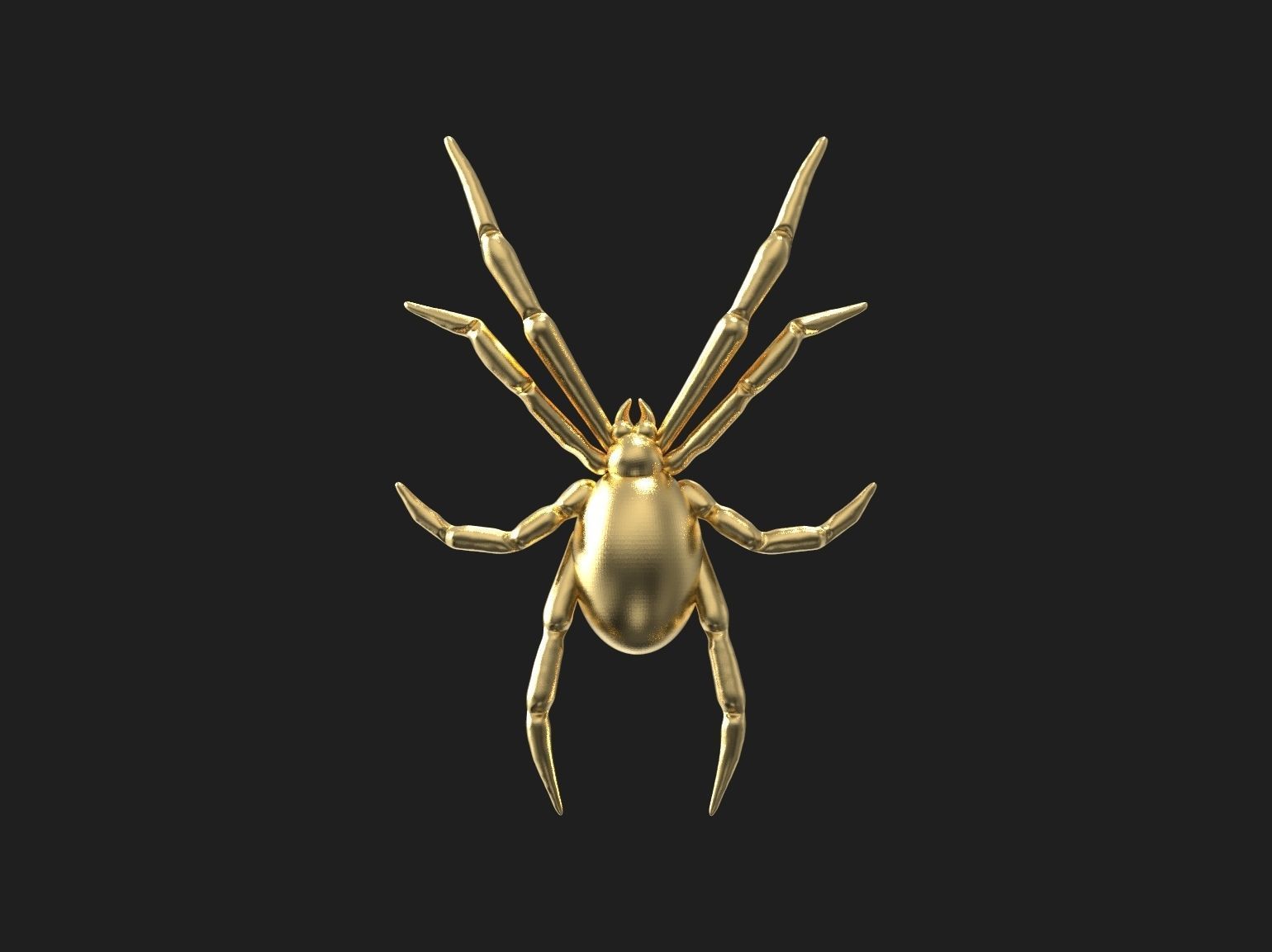 Spider relief 3D print model 3D print model_37