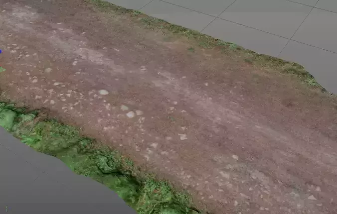 3D Scanned Gravel Road 001