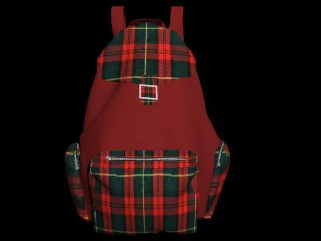 Soft Back Pack Free 3D model_0
