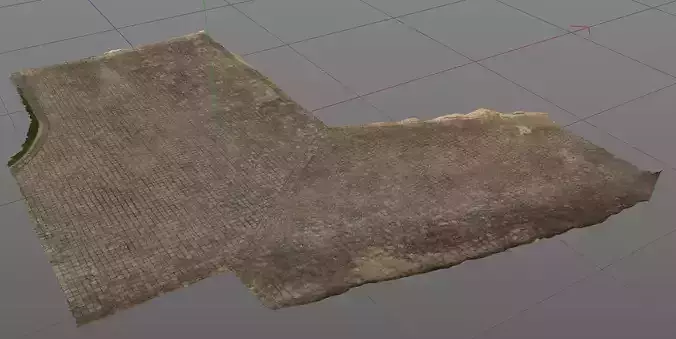 3D Scanned Pavement and driveway