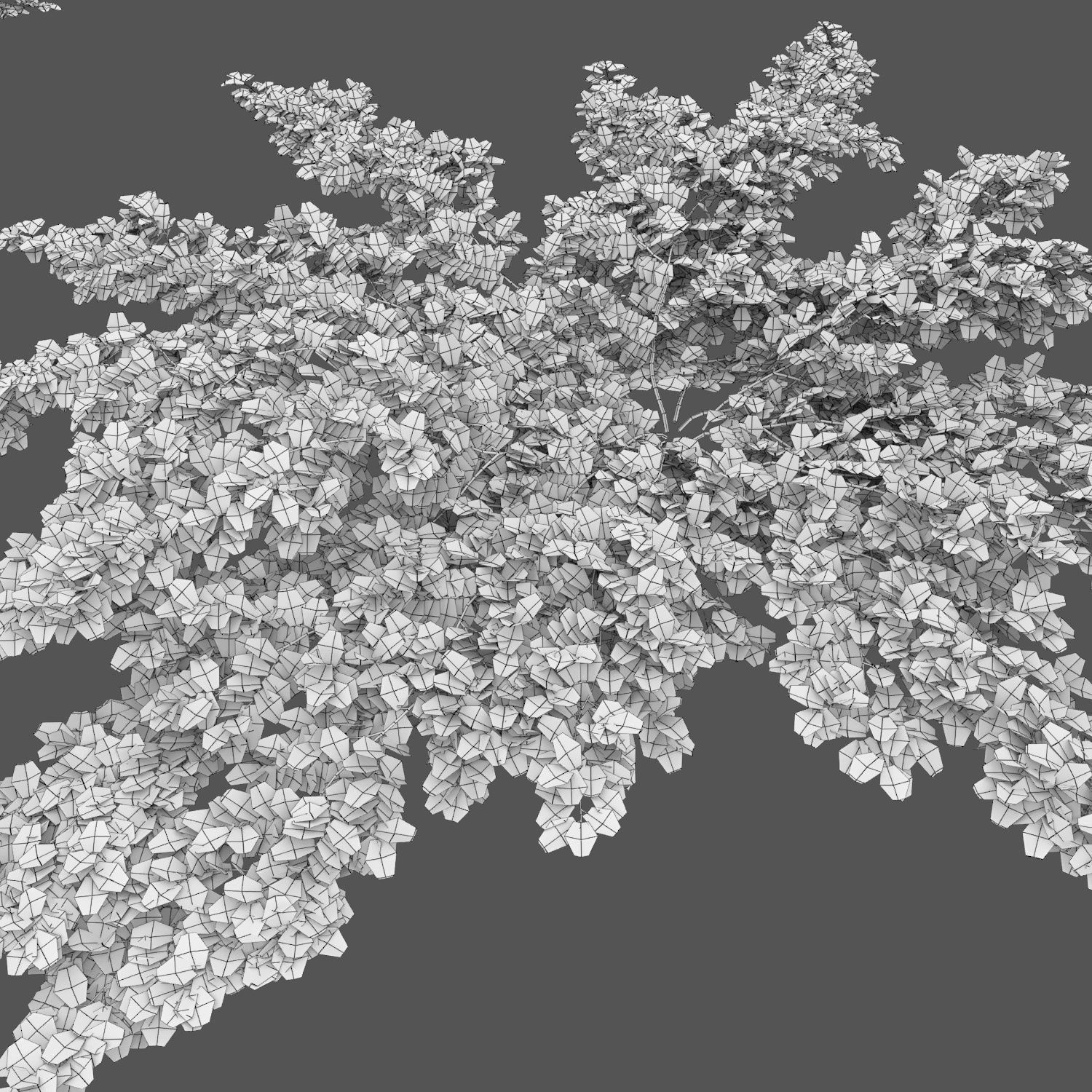 Cotoneaster Dammeri  3D model_3