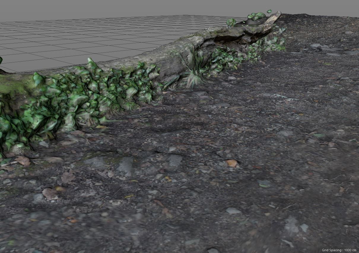 3D Scanned Path and Log 3D model_6