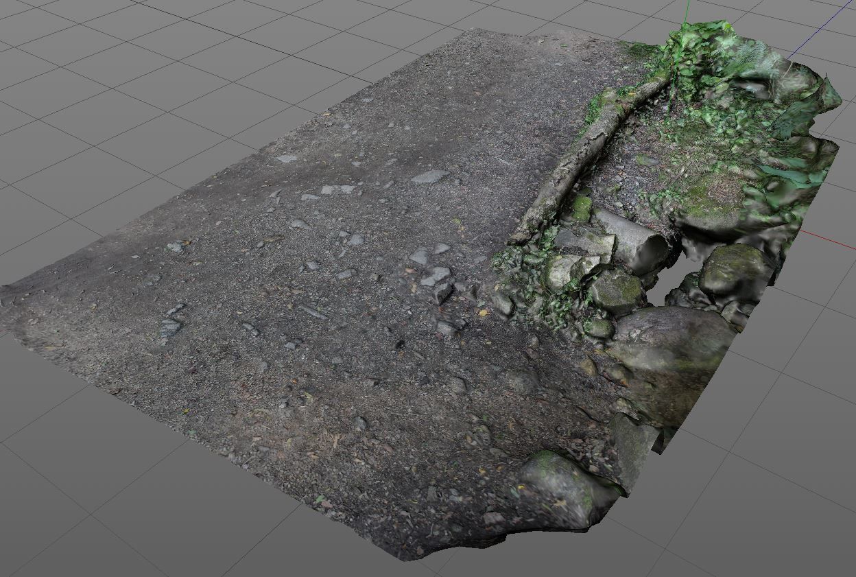 3D Scanned Path and Log 3D model_3