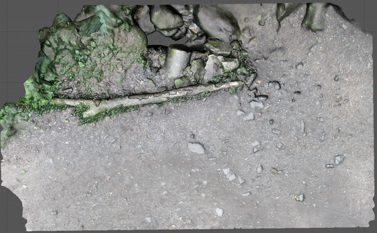 3D Scanned Path and Log 3D model_7