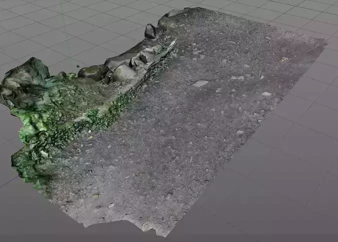 3D Scanned Path and Log