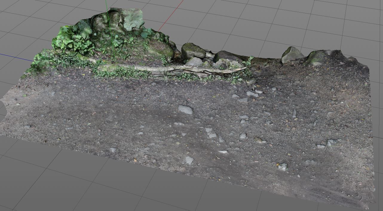 3D Scanned Path and Log 3D model_1