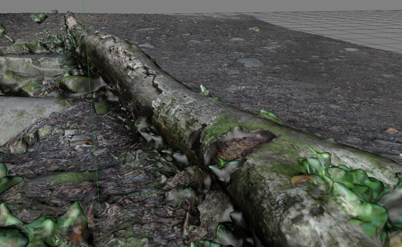 3D Scanned Path and Log 3D model_5