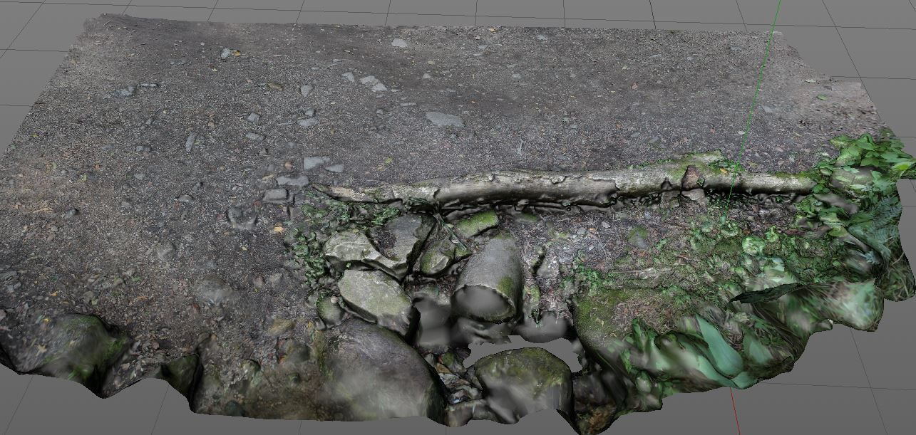 3D Scanned Path and Log 3D model_4