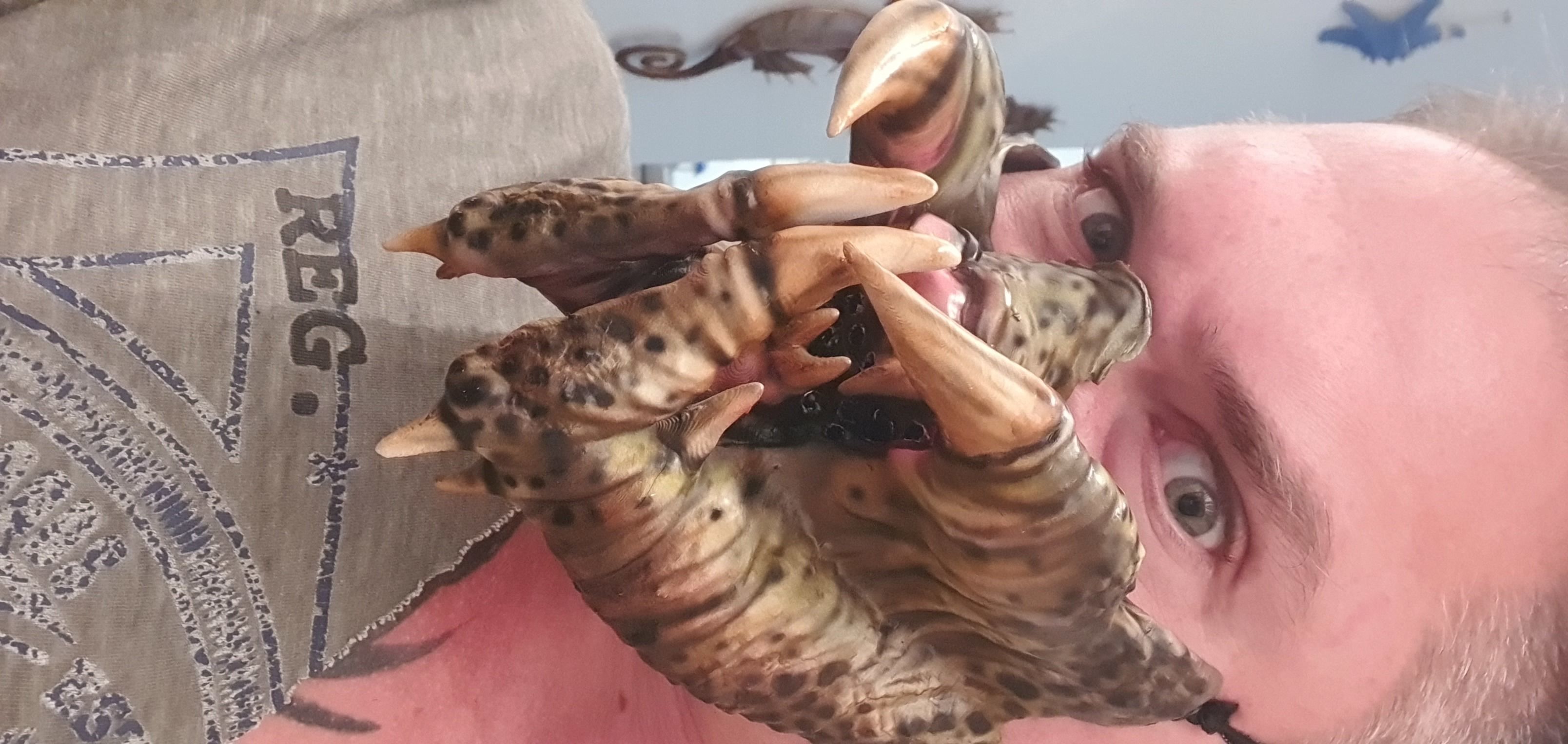 predator inspired facemask 3D print model_7