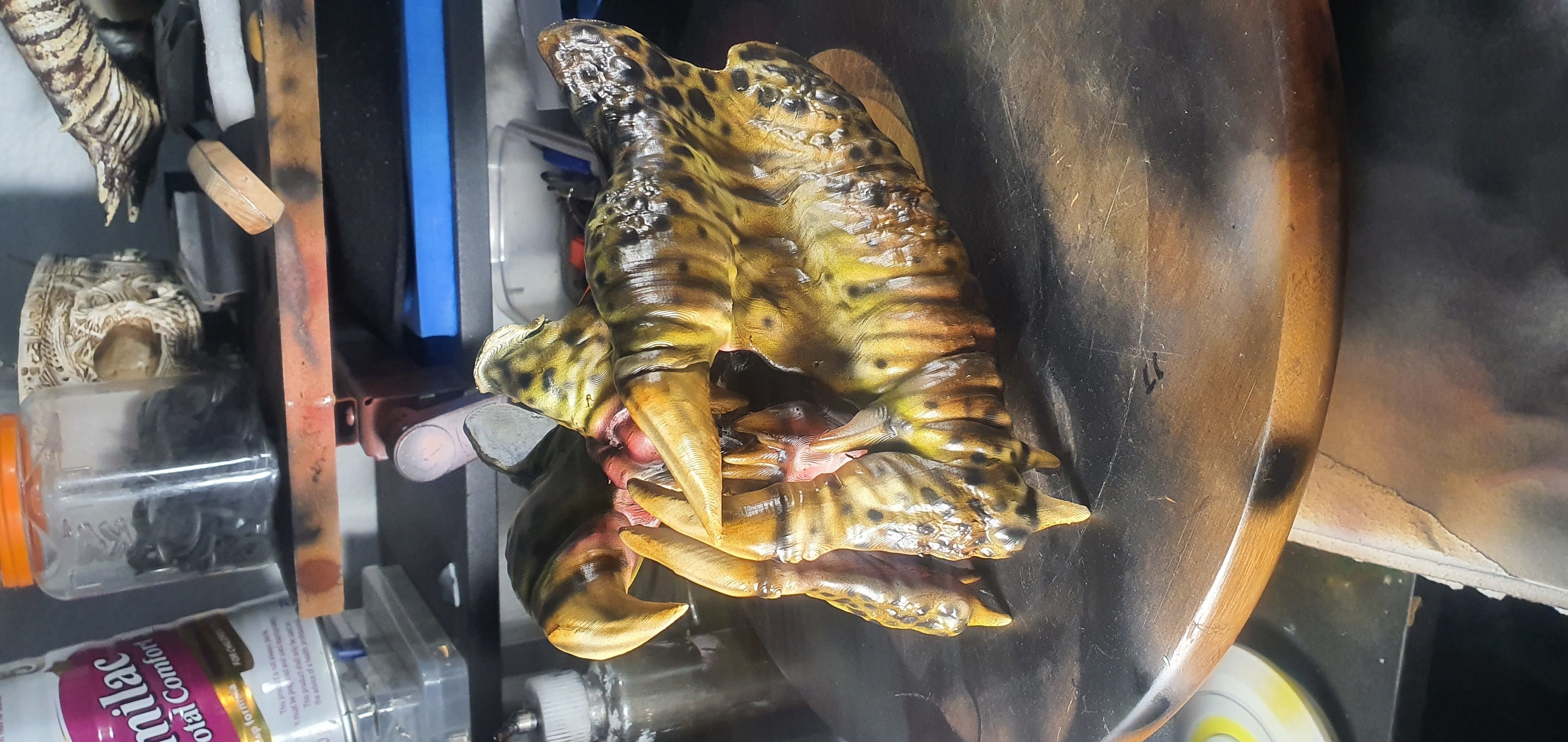 predator inspired facemask 3D print model_3