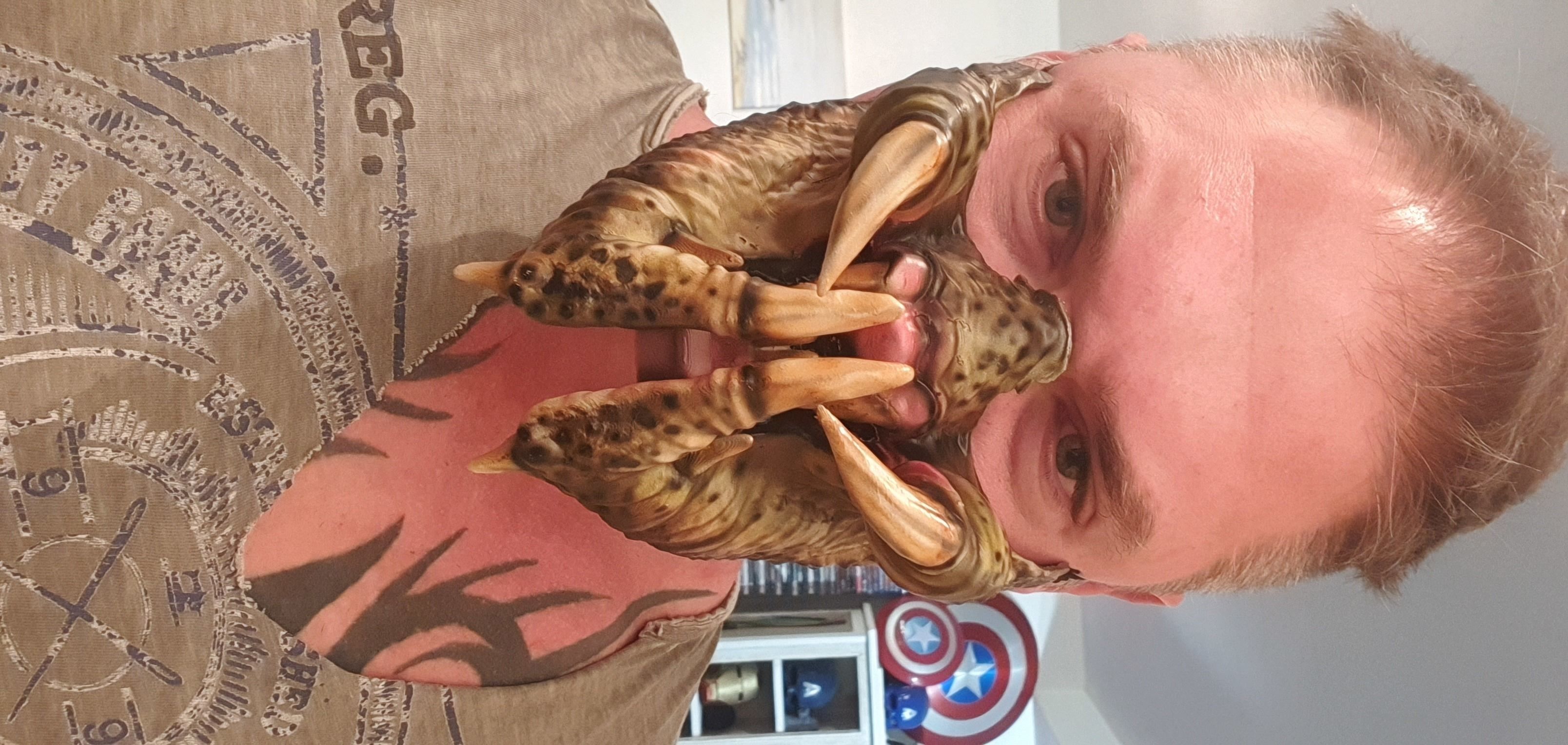 predator inspired facemask 3D print model_1