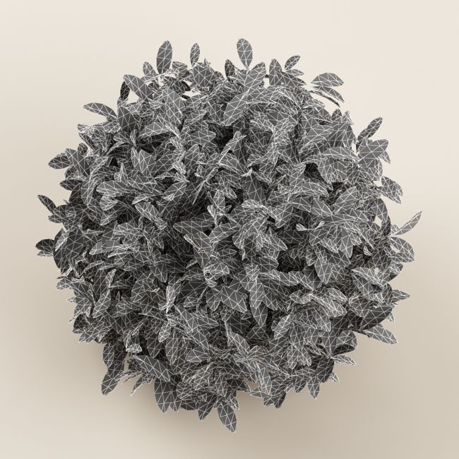 Bush 01 3D model_5