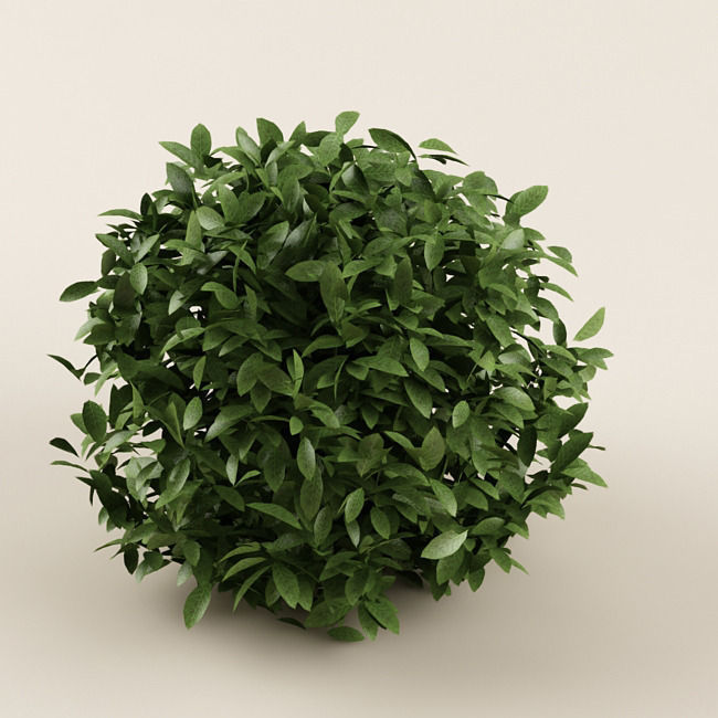 Bush 01 3D model_1