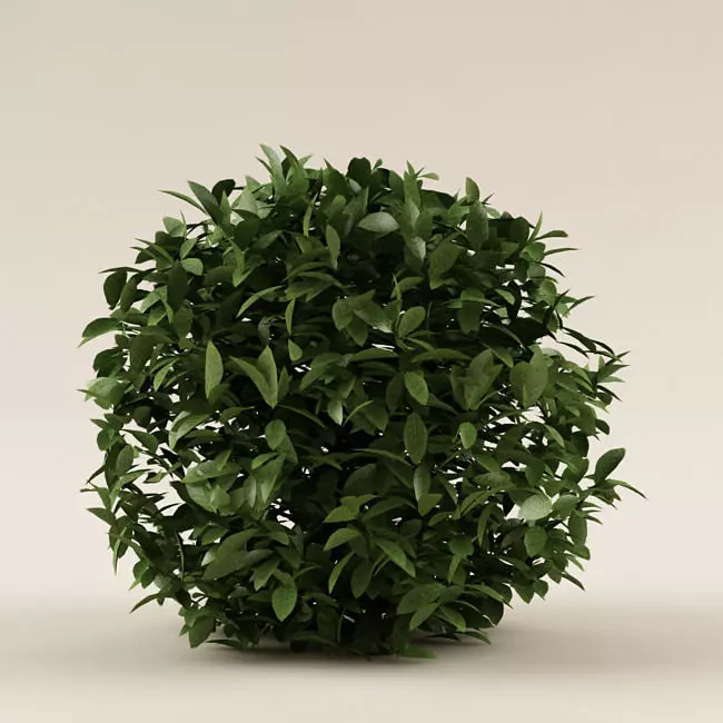 Bush 01 3D model_0