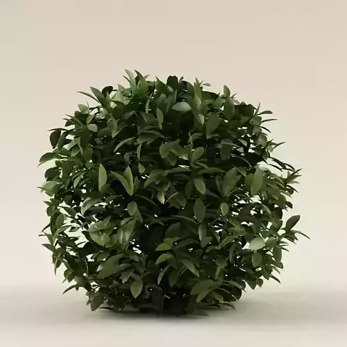 Bush 01 3D model