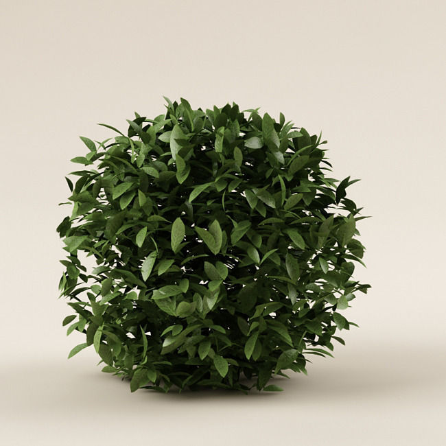 Bush 01 3D model_2