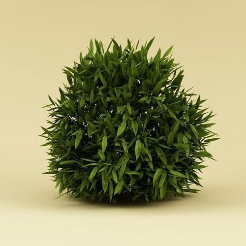 Bush 02 3D model