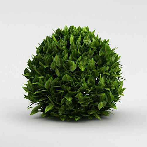 Bush 03 3D model