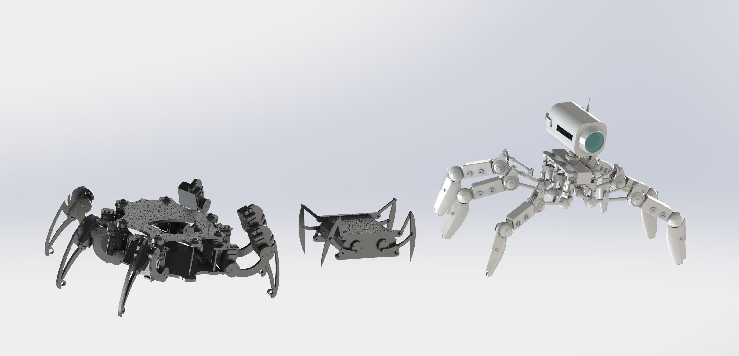 Spider bionic robot 3D model_7