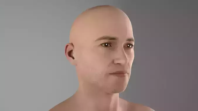 Male full body Rig 3D model