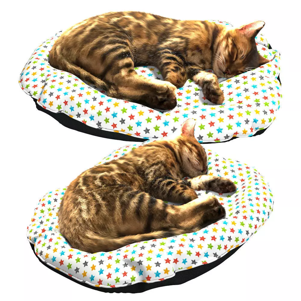 Bengal Kitten 3D model_0