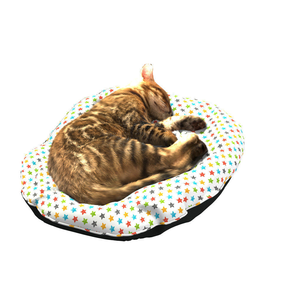 Bengal Kitten 3D model_19