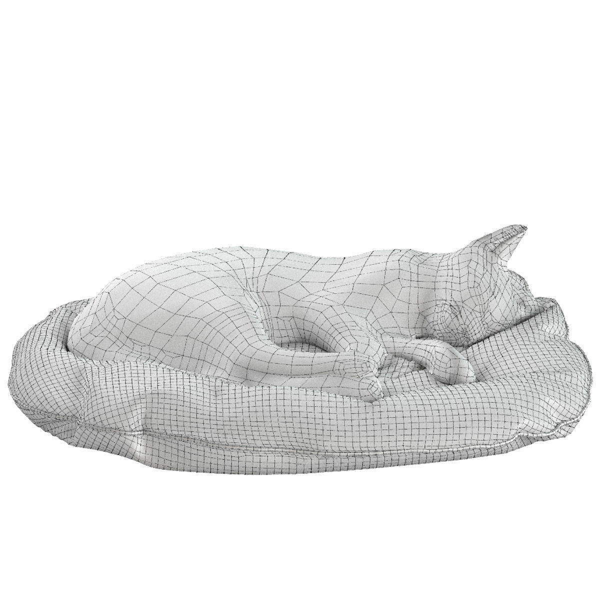 Bengal Kitten 3D model_34