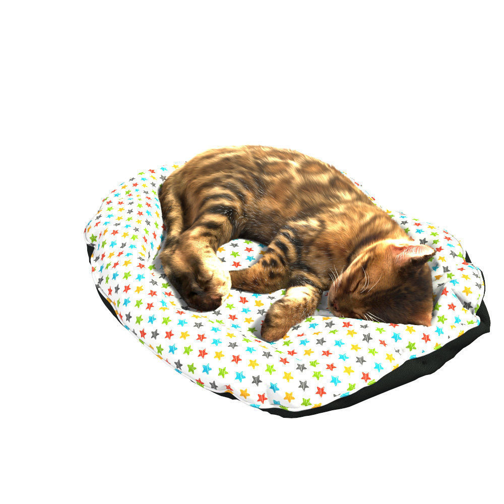Bengal Kitten 3D model_28