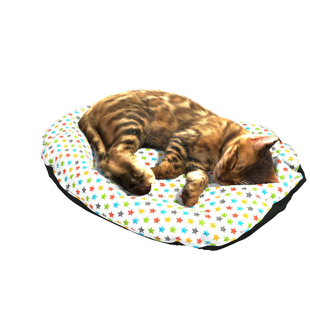 Bengal Kitten 3D model_27
