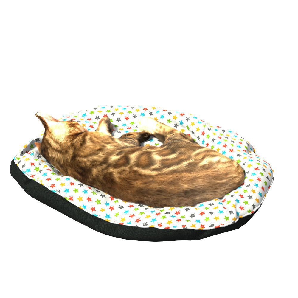 Bengal Kitten 3D model_13