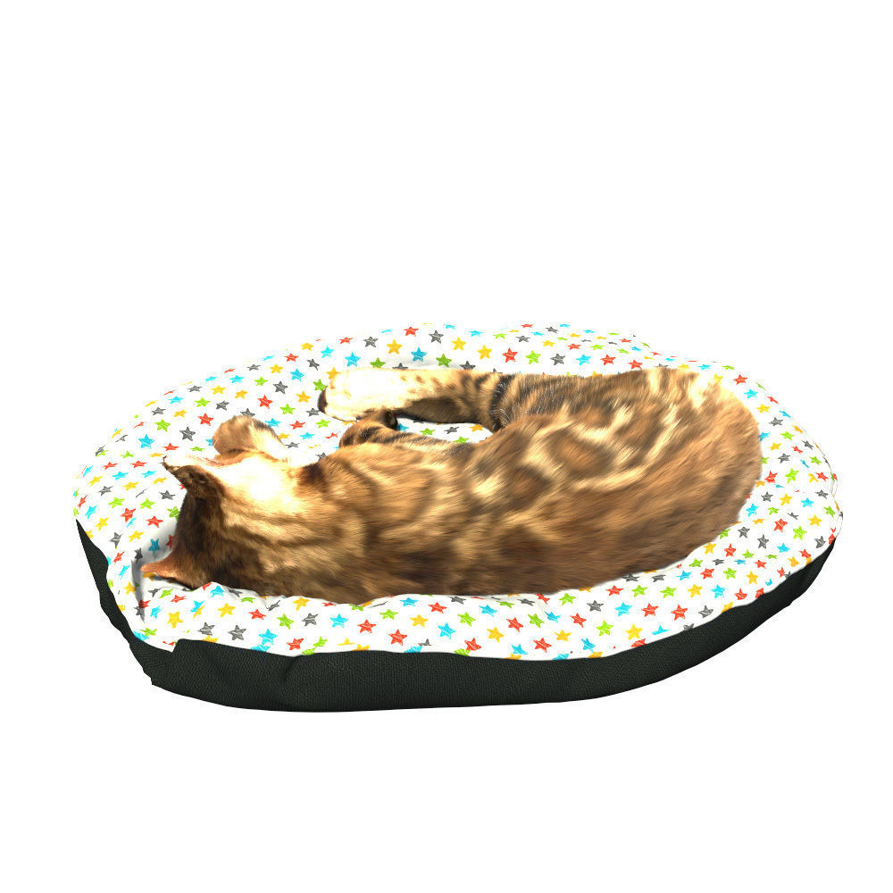 Bengal Kitten 3D model_7