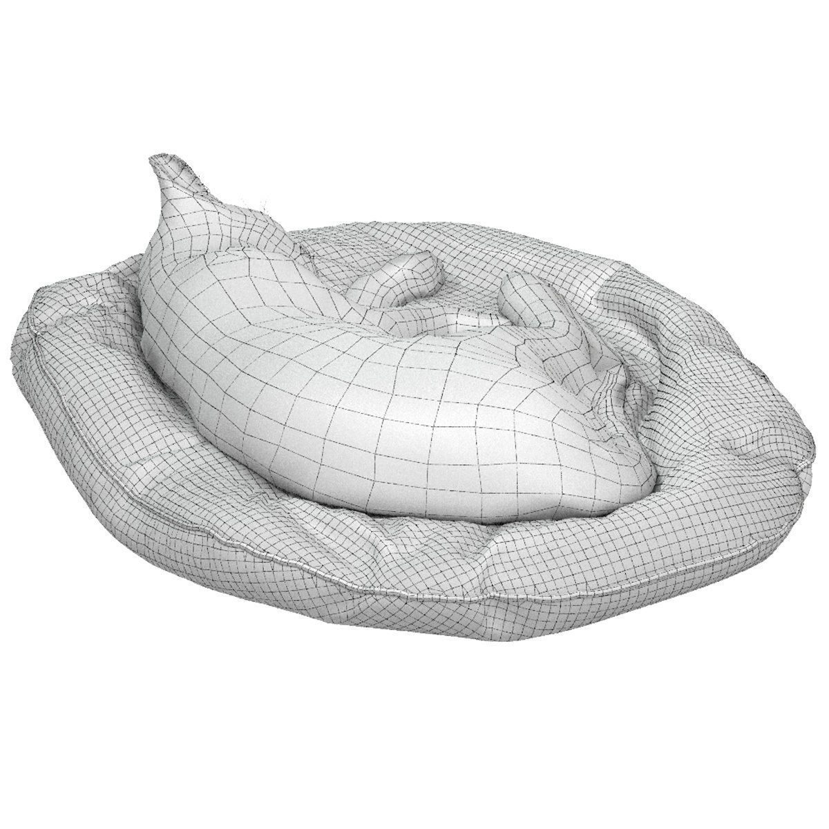 Bengal Kitten 3D model_33