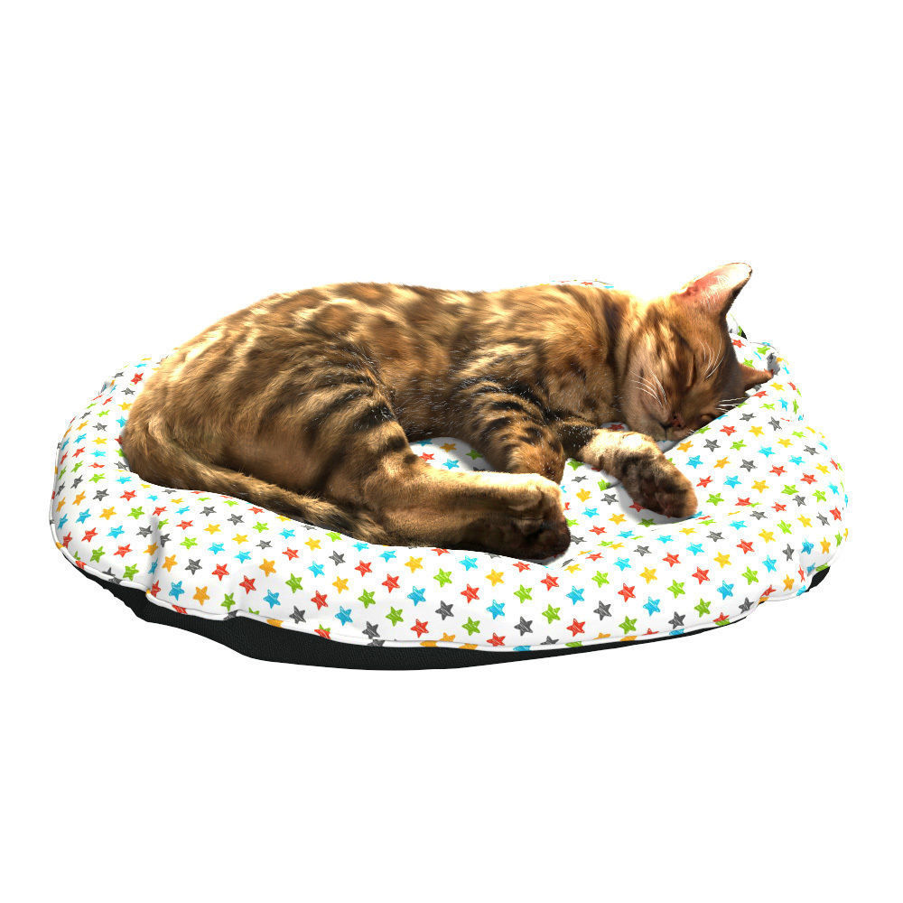 Bengal Kitten 3D model_23